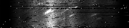 ascat_grayscale_ch6.png